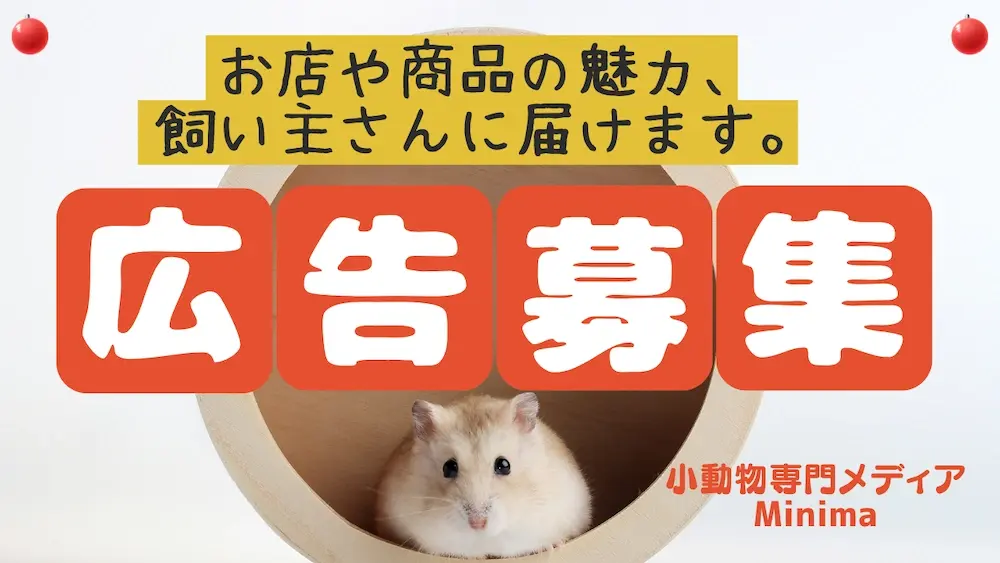 Minimaは広告を募集します。