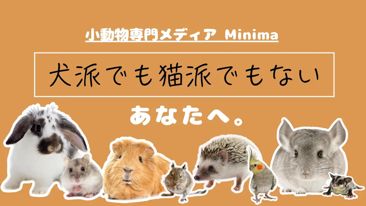 犬派でも猫派でもないあなたへ。
