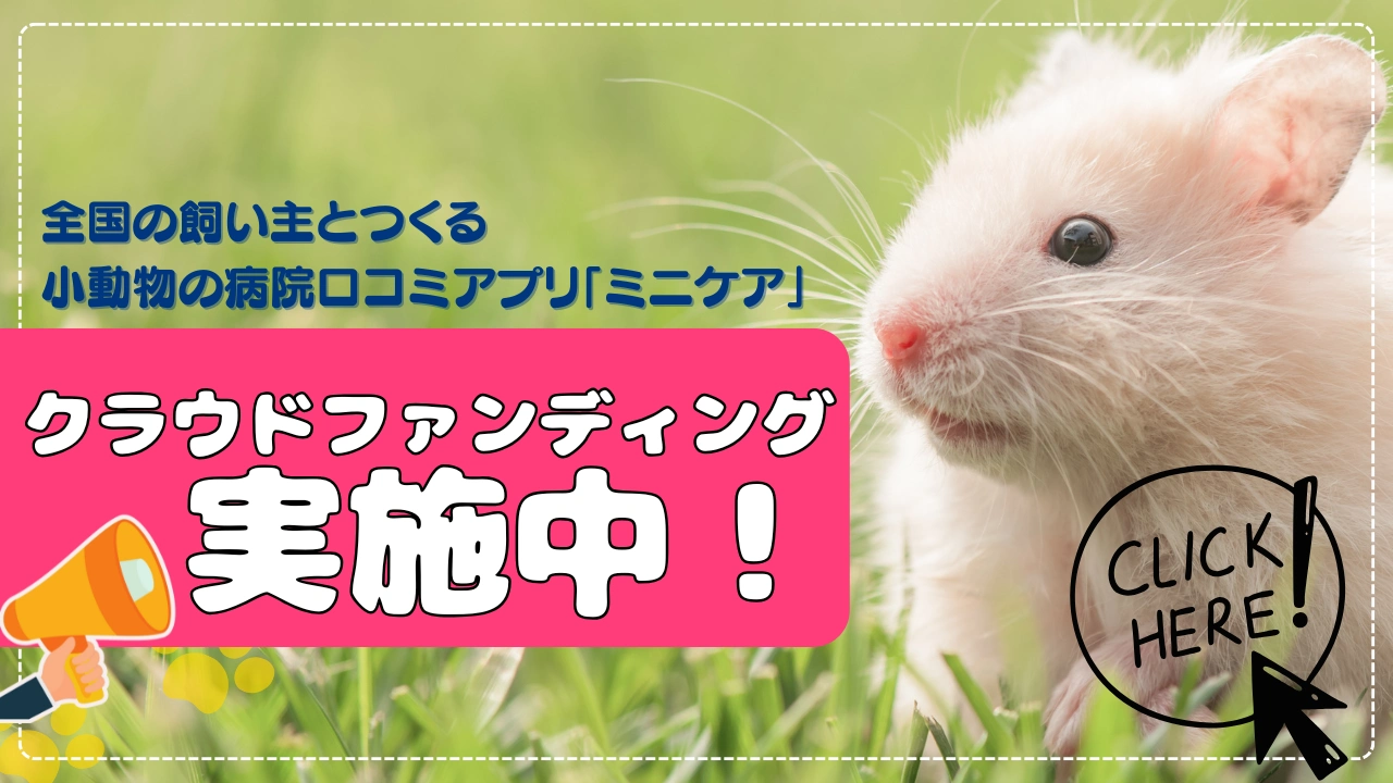 Minimaは広告を募集します。