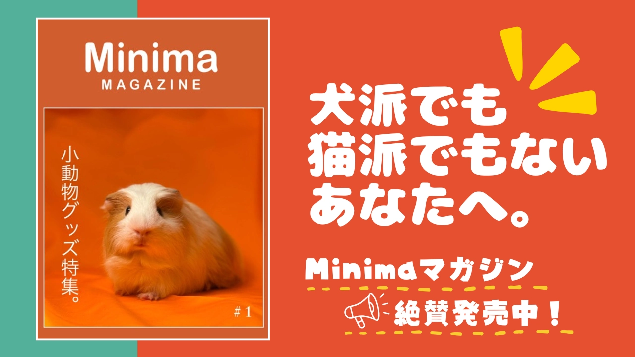 Minimaマガジン発売中！