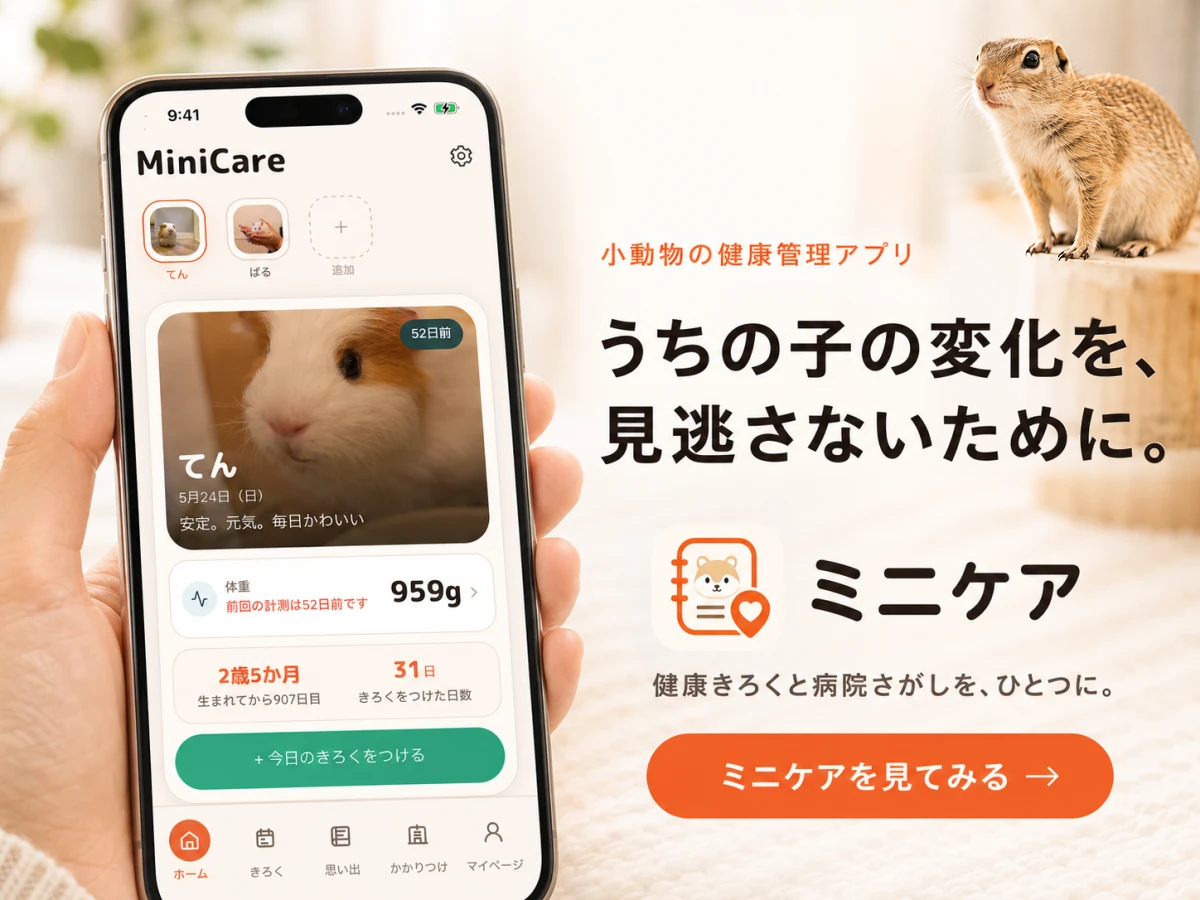 リチャード ソン ジリス 値段