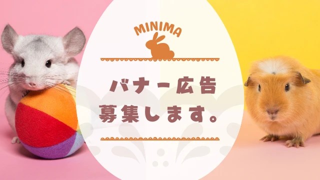 Minimaはバナー広告を募集します。